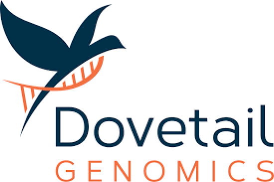 ‘dovetail Logo’